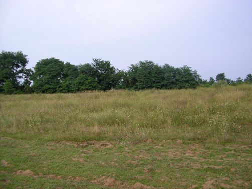 kép: /download/1401/resources/EJR_8306365-4.jpg