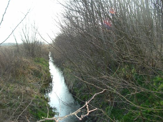 kép: /download/1401/resources/EJR_8306369-6.jpg