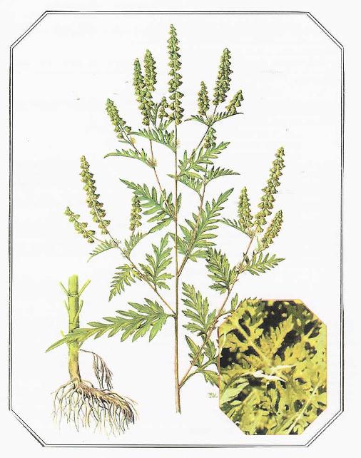image1.jpeg