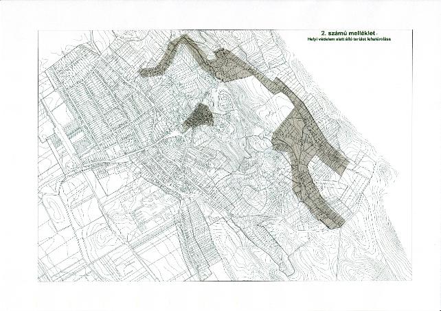 image1.jpeg