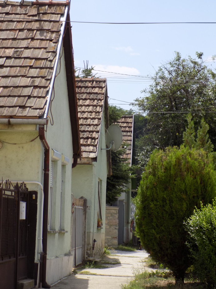 E:\Tervezés\1703 TAK\17034 Süttő\Fotók\Petőfi u\DSCN0462.JPG