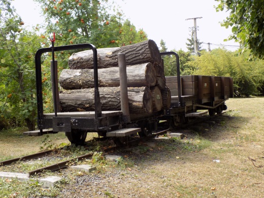 E:\Tervezés\1703 TAK\17034 Süttő\Fotók\Rákóczi hárs és kőfaragóház\DSCN0448.JPG