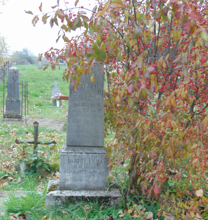 C:\Users\felhasznalo\AppData\Local\Microsoft\Windows\Temporary Internet Files\Content.Word\DSC03771.jpg